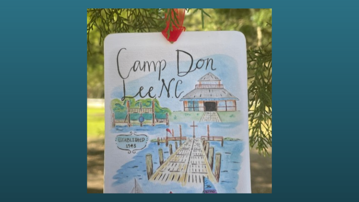 Giving Tuesday Holiday Appeal for Camp Don Lee