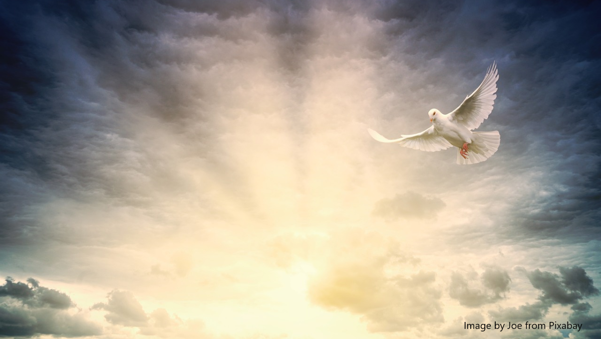Pentecost – Every Nation Under Heaven