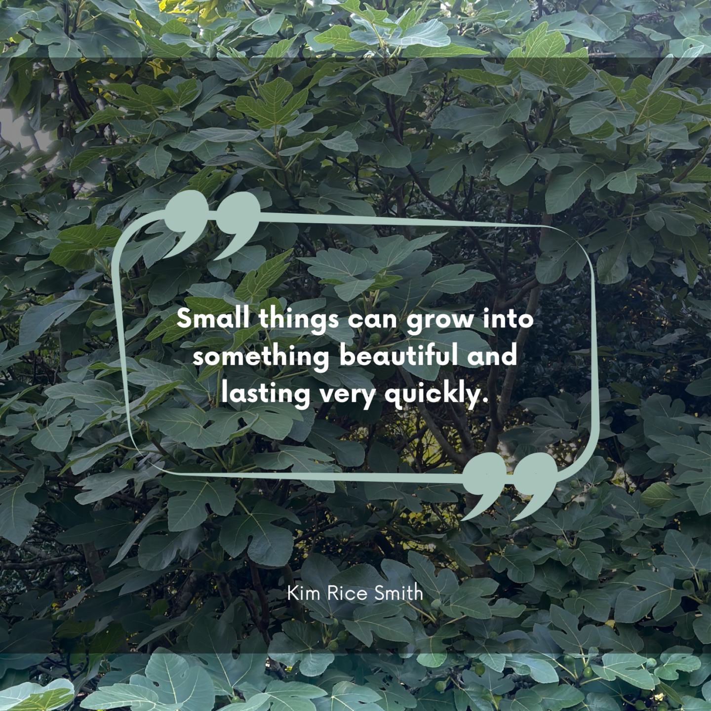larger version of Small Things quote - Fig Tree pic in background