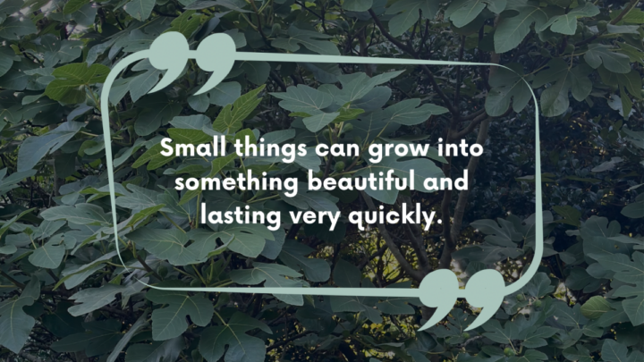 Small things can grow into something beautiful and lasting vey quick - Kim Rice Smith