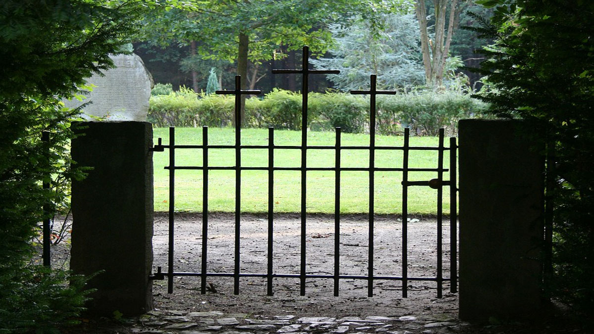 Time with Tara: Open to God, Open to One Another